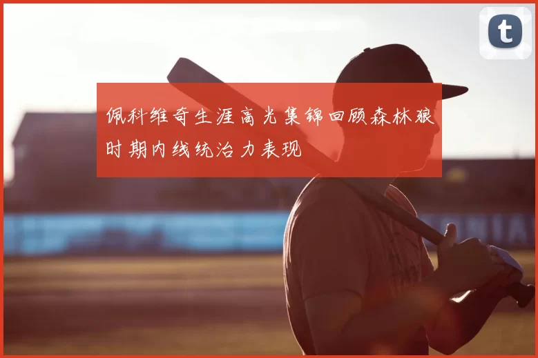 佩科维奇生涯高光集锦回顾森林狼时期内线统治力表现