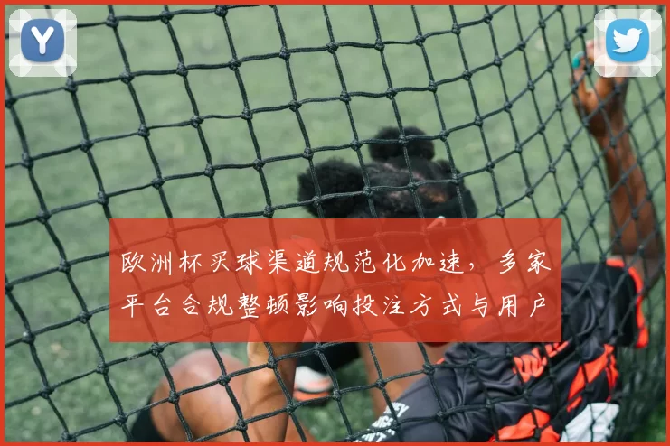 欧洲杯买球渠道规范化加速，多家平台合规整顿影响投注方式与用户安全