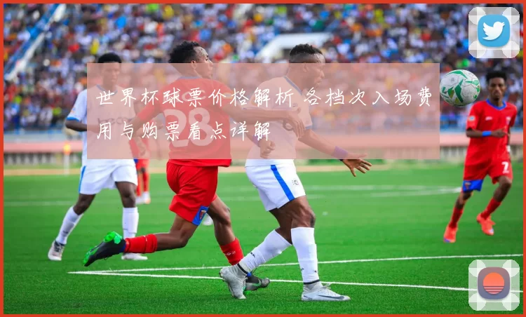 世界杯球票价格解析 各档次入场费用与购票看点详解