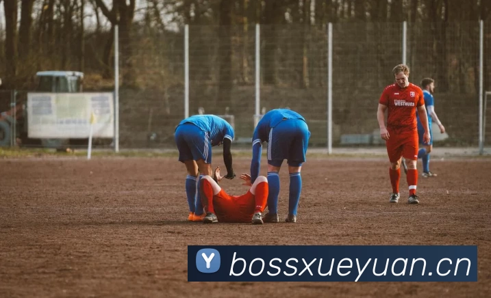 世界杯球票价格解析 各档次入场费用与购票看点详解